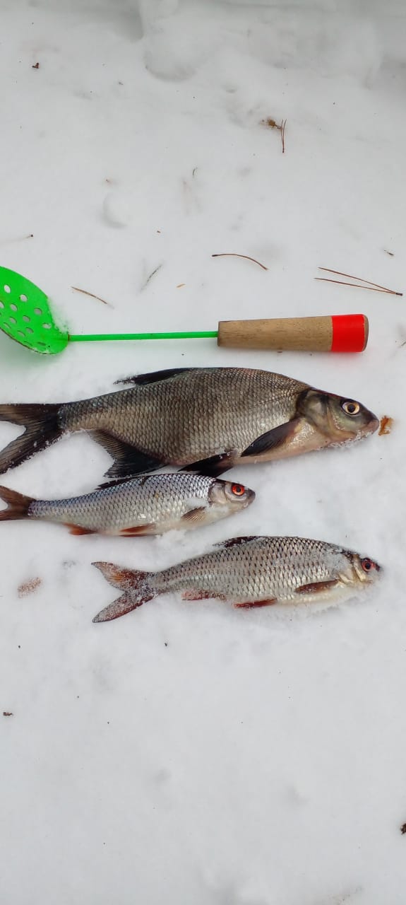 Зимняя рыбалка на озере Отолово