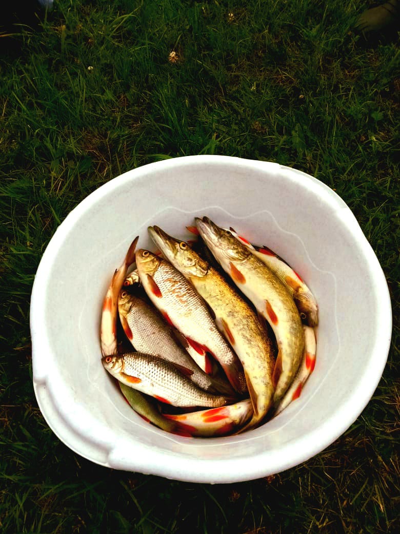 Летняя рыбалка на озере Отолово